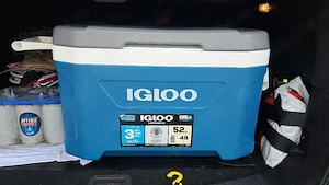 lada frigorifica IGLOO 49 litri