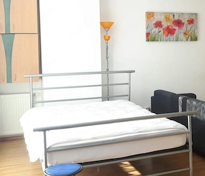 Pat metalic cu somiera