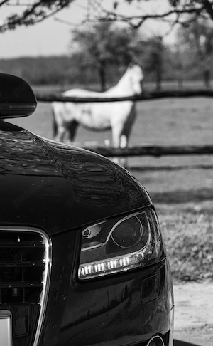 Vând Audi A5 2010 - imagine 5