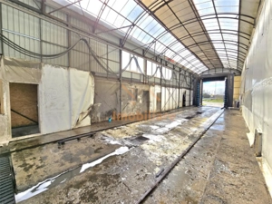 PROPRIETATE MULTIFUNCTIONALA | TEREN 3788 MP | SPALATORIE CAMIOANE + CASA |  DN1 E60 | TINAUD (ALESD - imagine 6