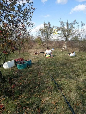 Teren intravilan Costinesti