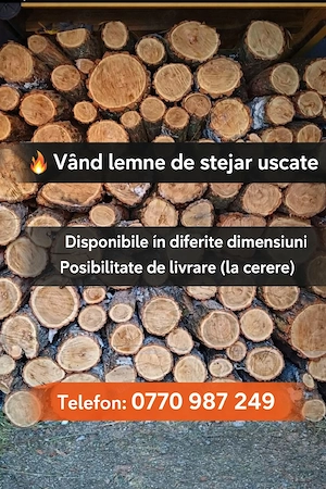 Vand lemne de stejar uscate