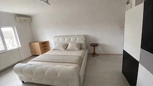 Inchiriez proaspat vopsit torontalului  - imagine 5