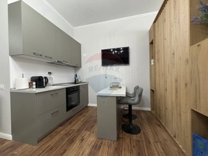 Apartament în zona Hanul cu Pește - Ștefan Building Lake II - imagine 8