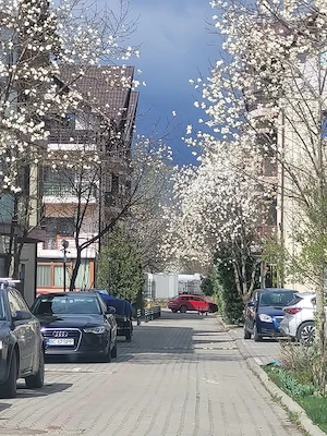 schimb apartament  cu casa bacau