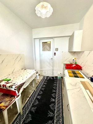 Apartament cu 2 camere de inchiriat, zona Iosefin, Timisoara - imagine 10