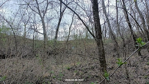 Vând casă com Bozioru 4660 mp teren 