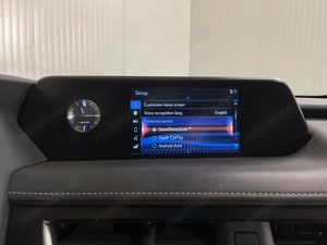 Lexus UX - imagine 16