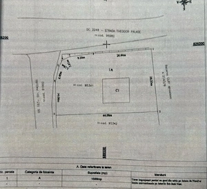 Casa Proselnici, S+P+M, 1089 mp teren - imagine 4