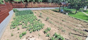 vând urgent casă în Sântimreu  - imagine 10