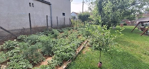 vând urgent casă în Sântimreu  - imagine 8