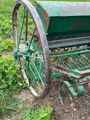 semnatoare paioase - imagine 3