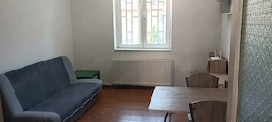 baba novac campia libertatii fildesului