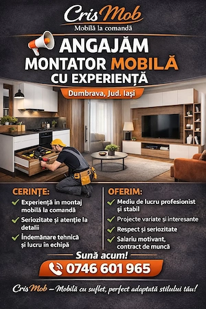 Angajăm montator mobilă cu experiență 