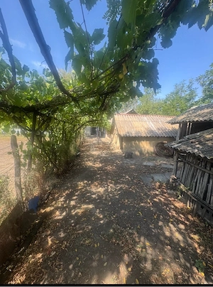 Casă de vânzare în sat.Floroaica 2 800 m+teren agricol intravilan 2 096 m - imagine 4