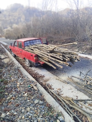 Dacia Papuc 4 4 - imagine 5