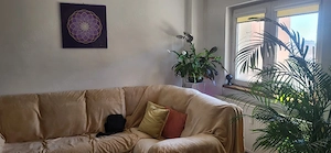 3 camere obor mihai bravu - imagine 7