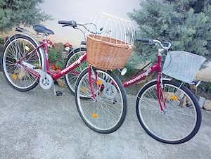 Bicicletă damă PROPHETE,cu coș animal de companie