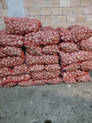 Vând cartofi consum, sămânță și mărunți 