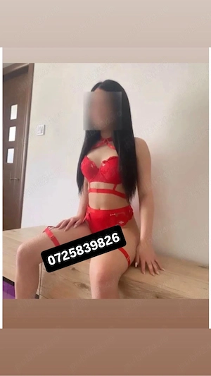  Minion NOU în orașul tău  Drumul taberei 