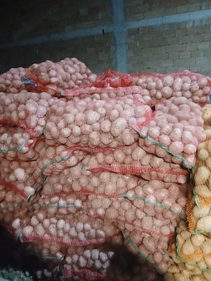 Vând cartofi consum, sămânță și mărunți  - imagine 2