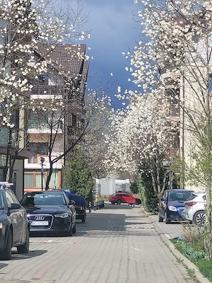 PROPRIETAR 2cam et 2 în vila. Loc de parcare in pret Bacau - imagine 10