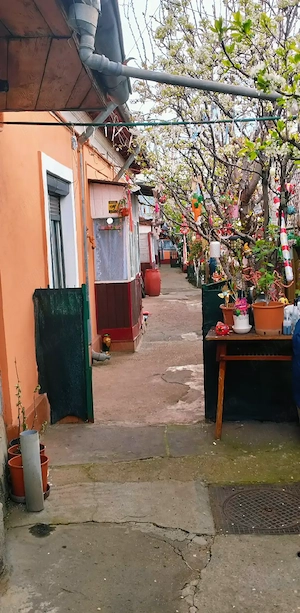 Casa +teren 266 mp București Viilor 