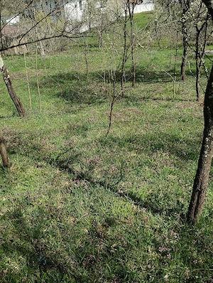 Vând urgent teren intravilan in comuna Păușești măglaș sat Ulmetel la strada 