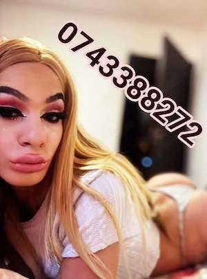 Ts Azi la tine in oras 50% Discount Doar astazi Si Deplasări  - imagine 3