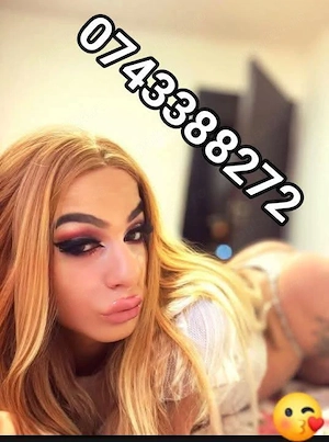 Ts Azi la tine in oras 50% Discount Doar astazi Si Deplasări  - imagine 4