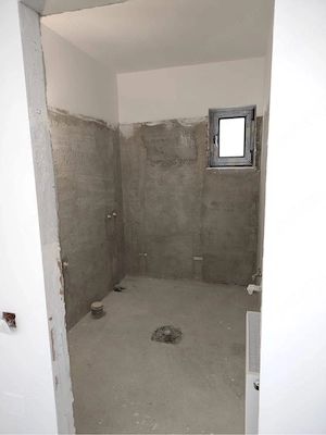 proprietar, casa la curte  - imagine 4