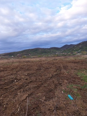 Vand teren intravilan 1,45 ha. - imagine 4