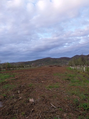 Vand teren intravilan 1,45 ha. - imagine 2