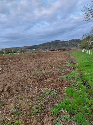 Vand teren intravilan 1,45 ha. - imagine 3