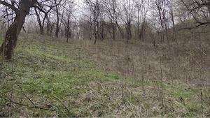 Teren intravilan 3398mp Provița de Sus - imagine 7