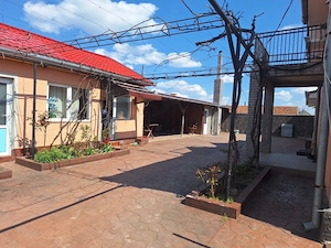 casa de vanzare borș - imagine 4