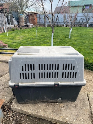 Cusca transport caini - imagine 3