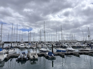 Sunteti doua prietene majore, eleve sau studente? 