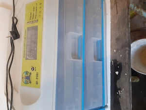 Vand incubator pui de gaina gasca . Rata . 