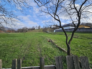 Teren intravilan Comanesti Bacau cu utilitati - imagine 4