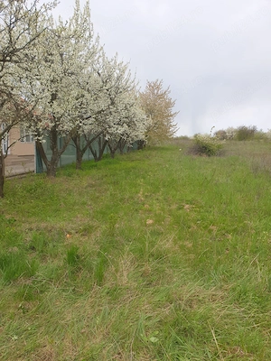 Vand teren intravilan 7200 mp