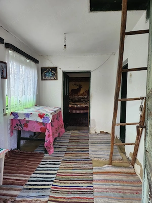 Casa de vanzare Sacelu, Sat Bereasca - imagine 3