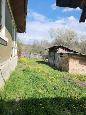 Casa de vanzare Sacelu, Sat Bereasca - imagine 2