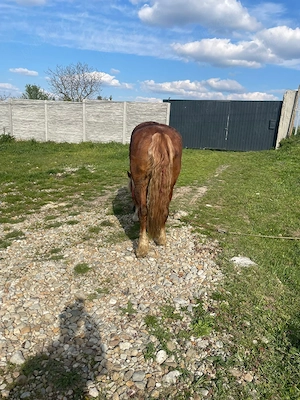 vand iapa buna de tras  - imagine 3