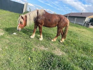 vand iapa buna de tras 