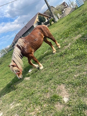 vand iapa buna de tras  - imagine 2