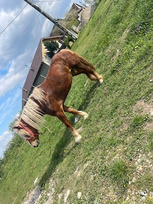 vand iapa buna de tras  - imagine 5