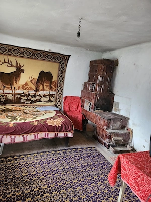 Casa de vanzare Sacelu, Sat Bereasca - imagine 4