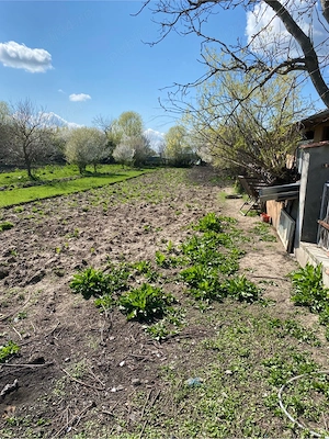 Teren de vânzare Brăniștari