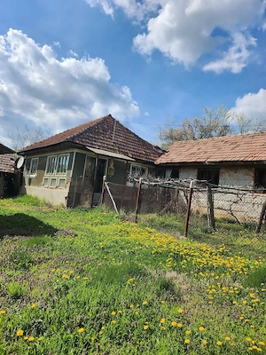 Casa de vanzare Sacelu, Sat Bereasca - imagine 8